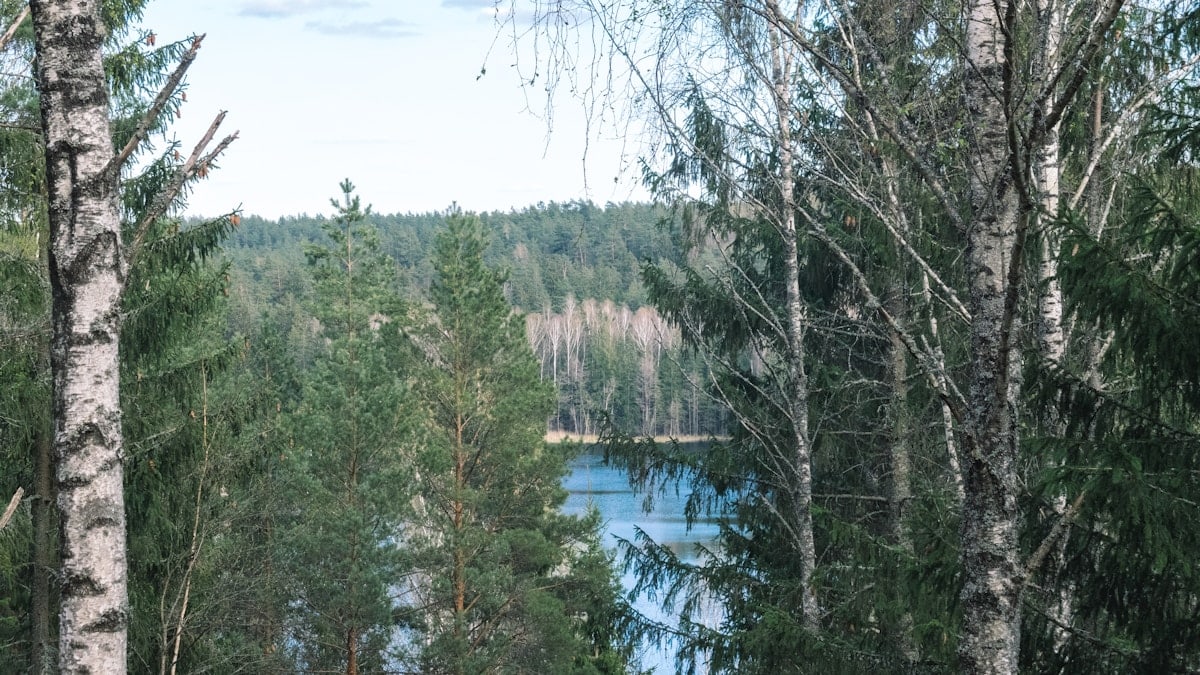 Tervislikud retseptid igaks päevaks